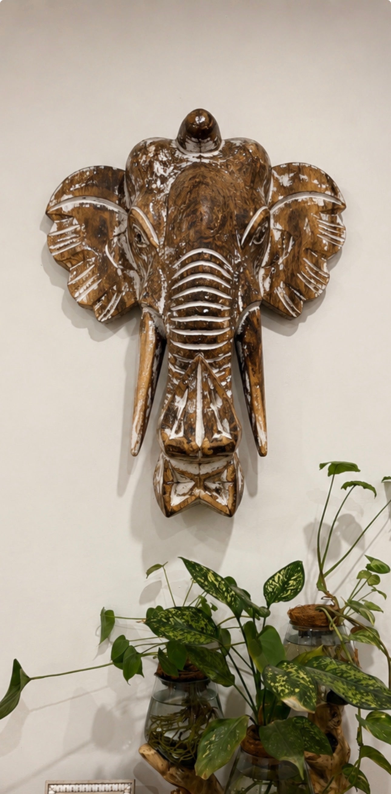 Timber Elephant wall hanging Head
