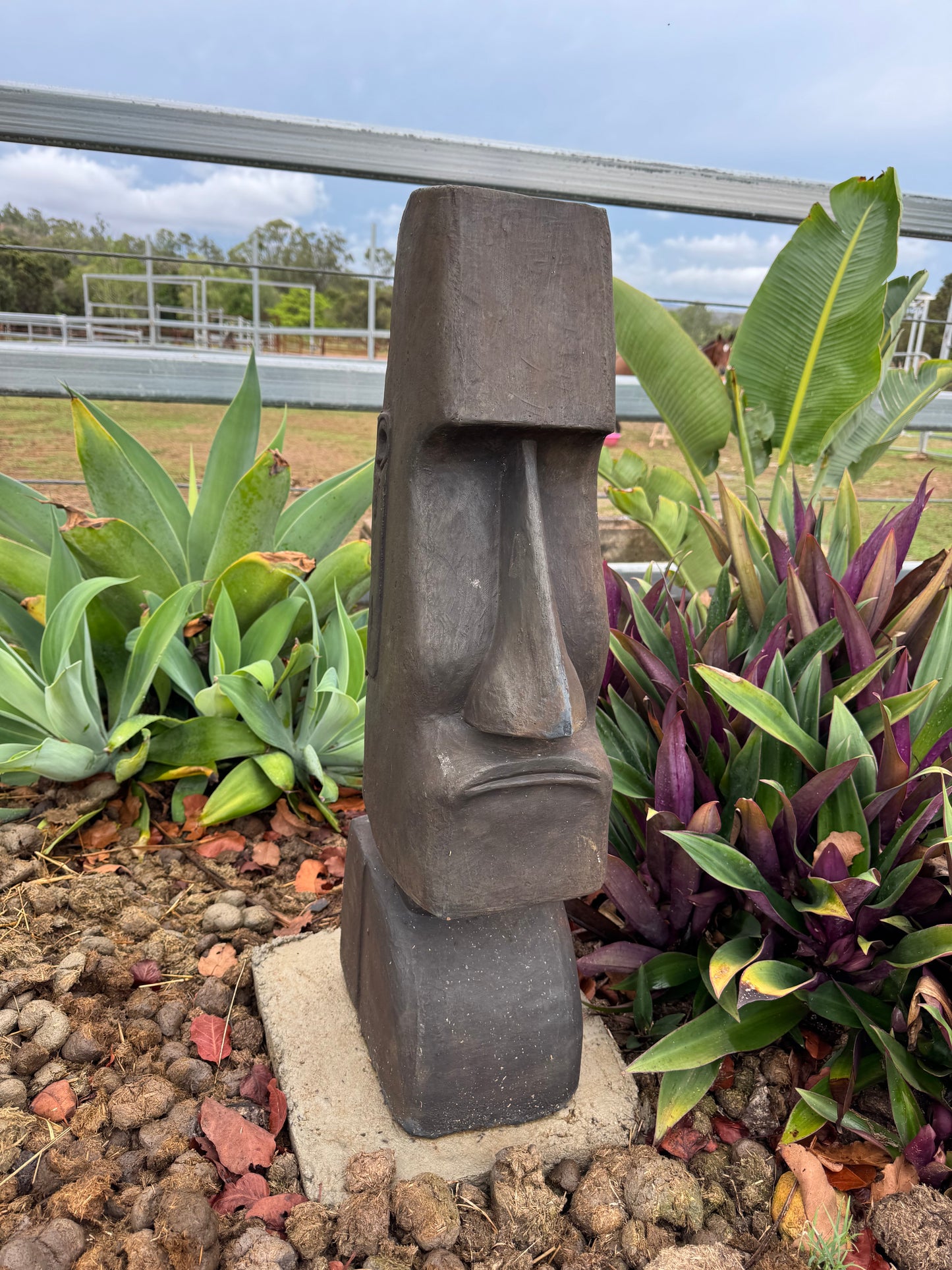 Easter Island Man