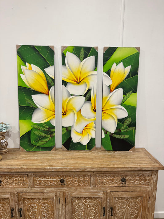 3 Pieces Frangapaini Canvas Painting