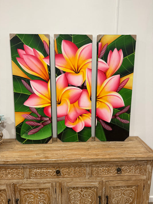 3 Pieces Frangapaini Canvas Painting